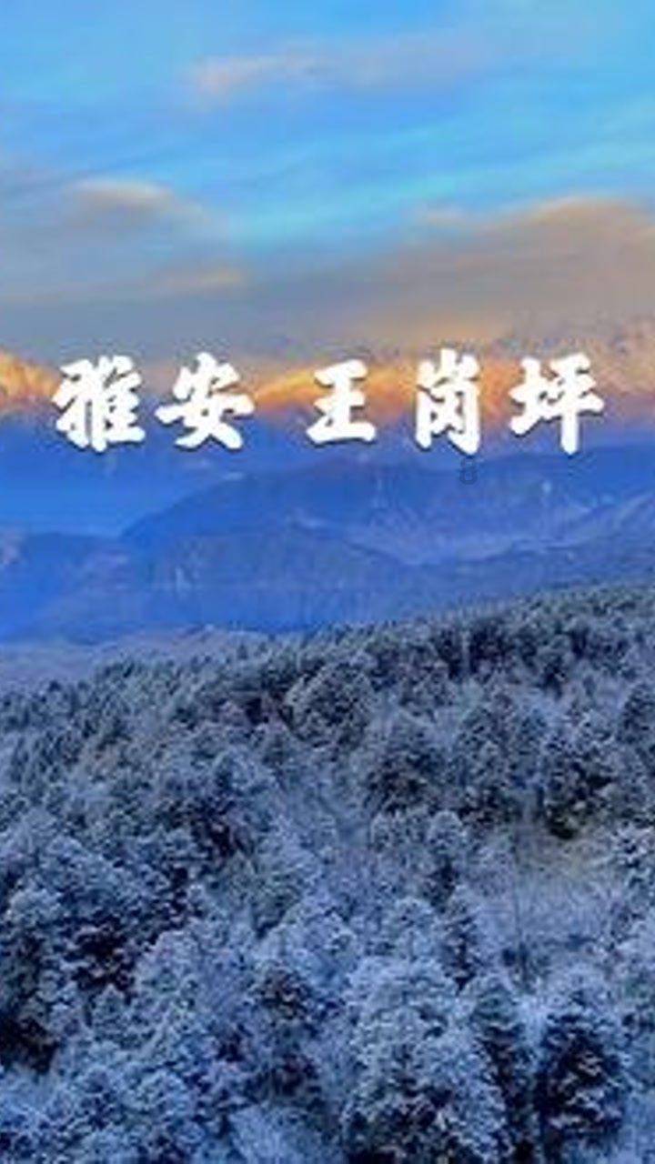 “领导”视频借钱,下属被骗百万,民警出面挽损,案件仍在侦办中
