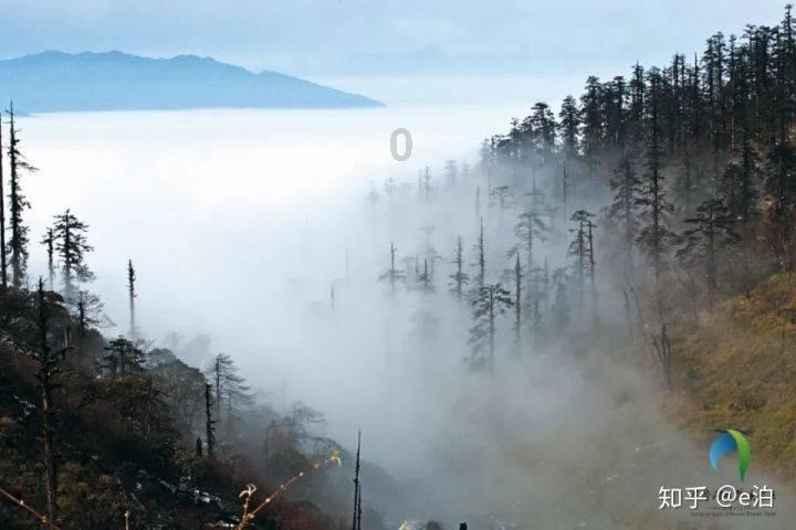 影子忍者传说