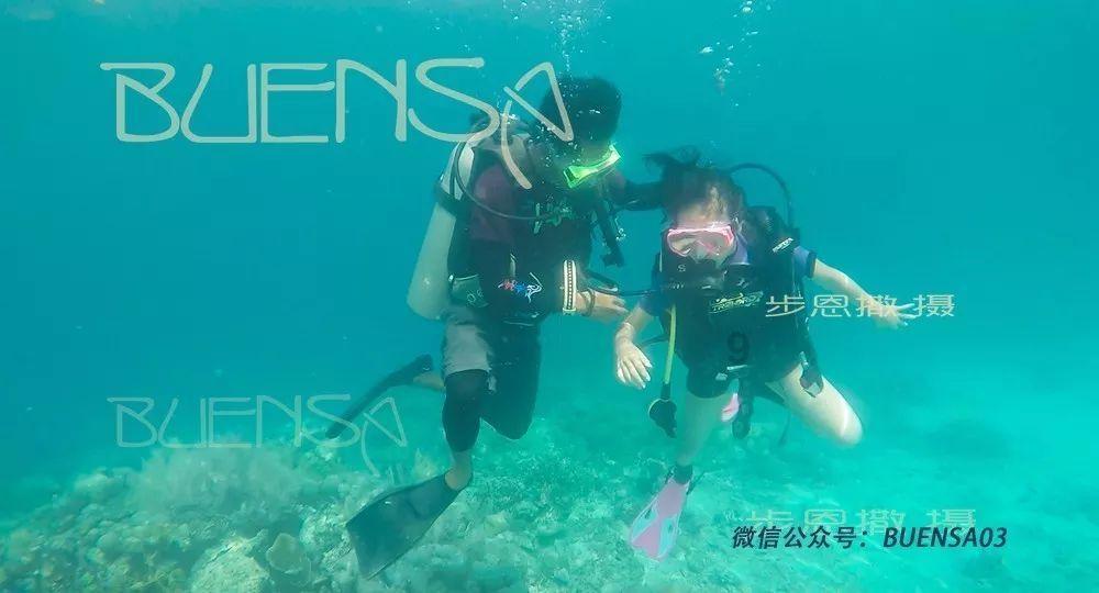 逃离声望森林