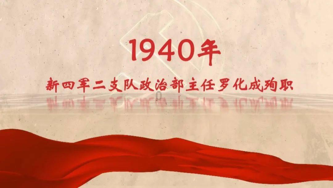 拯救受伤的猫