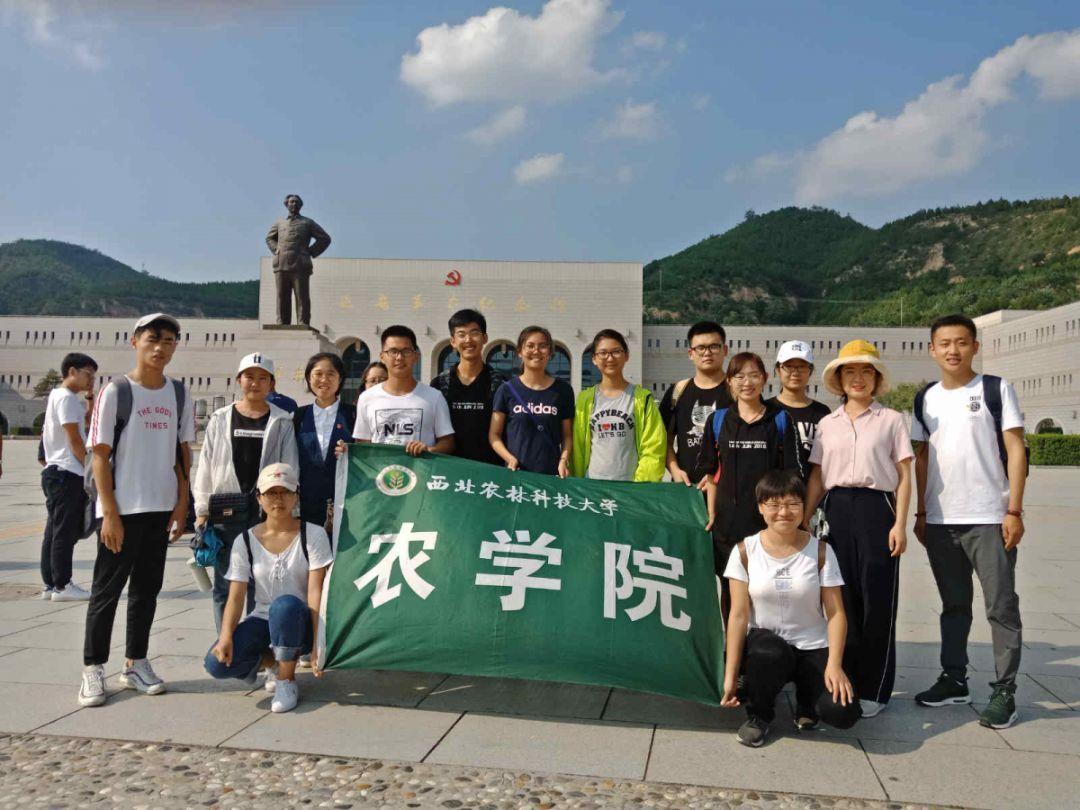 幻想纹章3.3