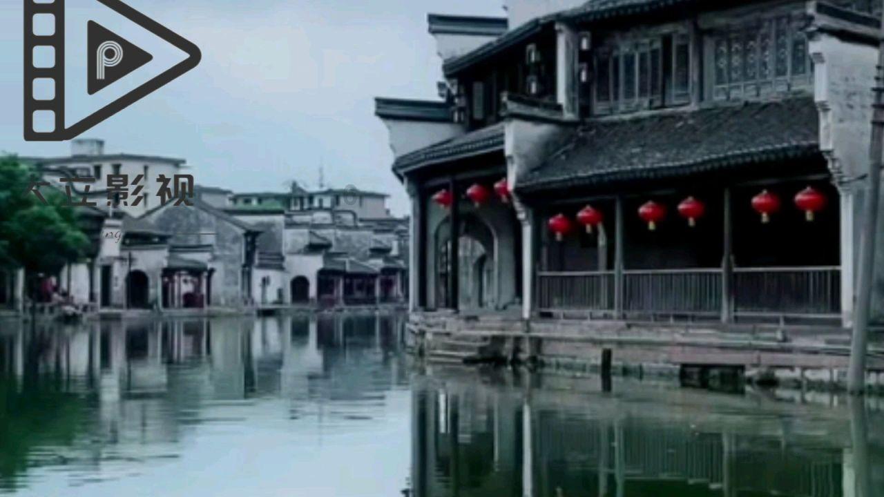 节节草：天然的足浴良方？老人常泡，或能告别多年顽疾